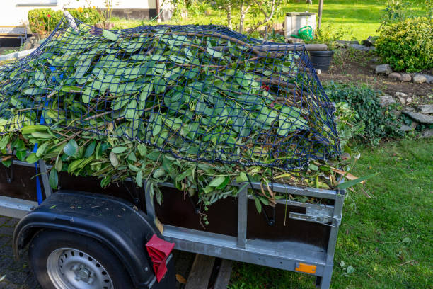 Best Shed Removal  in Fargo, ND